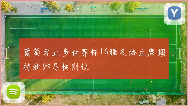 葡萄牙止步世界杯16强足协主席期待新帅尽快到位