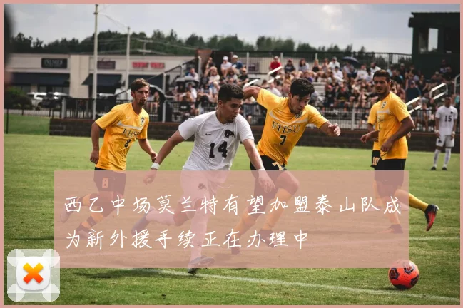 西乙中场莫兰特有望加盟泰山队成为新外援手续正在办理中
