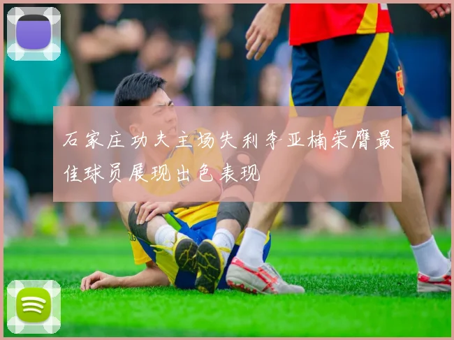 石家庄功夫主场失利李亚楠荣膺最佳球员展现出色表现