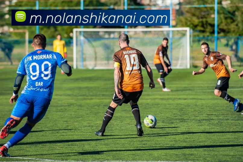 aoa在线登录入口服务体系